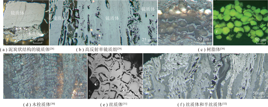 低阶烟煤煤岩显微组分分选及其分质利用研究进展