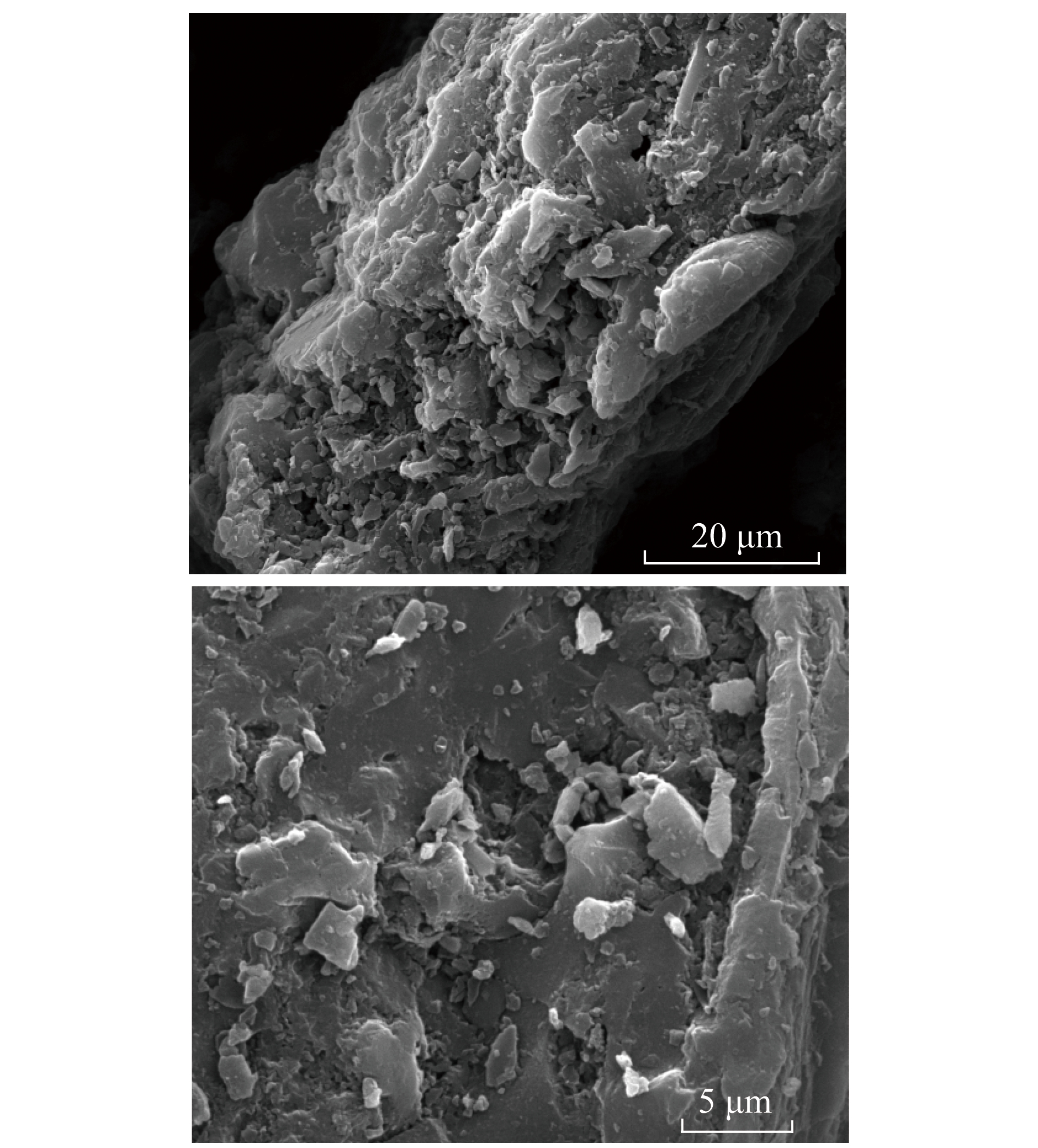 煤粉对选矿废水中乙硫氮的吸附特性研究